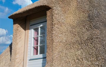 Sandy Bank thatch roof disadvantages